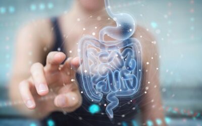 Microbiota e Disbiosi intestinale: una chiave per la salute e il benessere