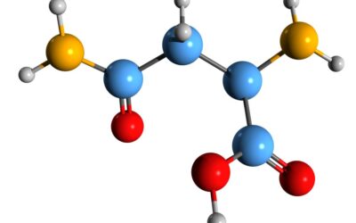 Alfa-lattoalbumina: la proteina del benessere intestinale (benefici, effetti, assunzione)