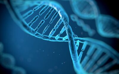 Test del DNA Vivexpan a Roma